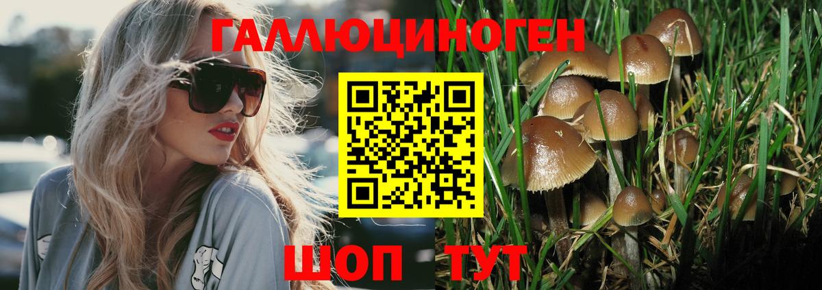 Учалы  купить   Вход с VPN  Псилоцибиновые грибы Psilocybine cubensis 